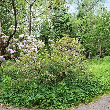 6 Person In Dronningmolle-by Traum * Dronningmølle